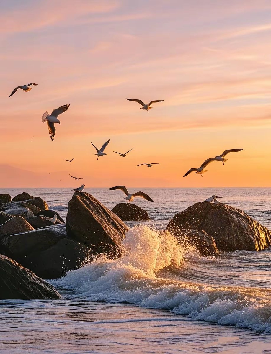 Contessagals's tweet photo. Este rincón costero al atardecer se siente como un abrazo cálido — el mar y la arena me recordaron por qué amo viajar sin prisa. https://t.co/bQpNN2sUD8