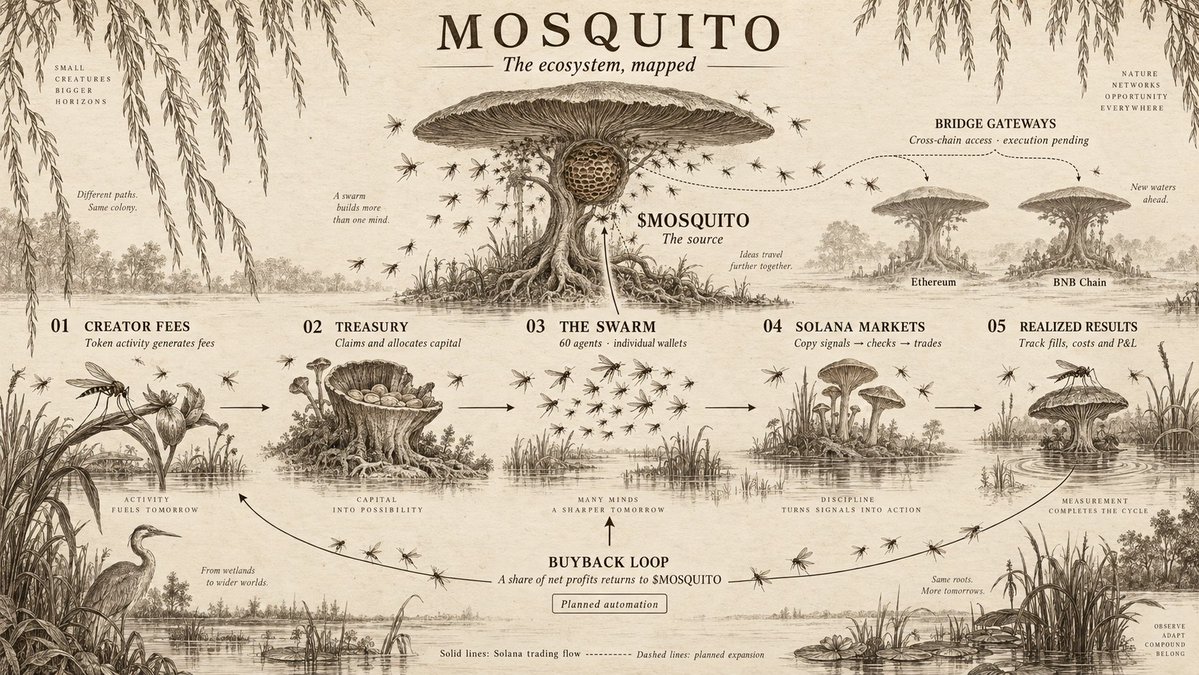 Mosquito_sol's tweet photo. The Mosquito Universe https://t.co/brr3f4ZOqn