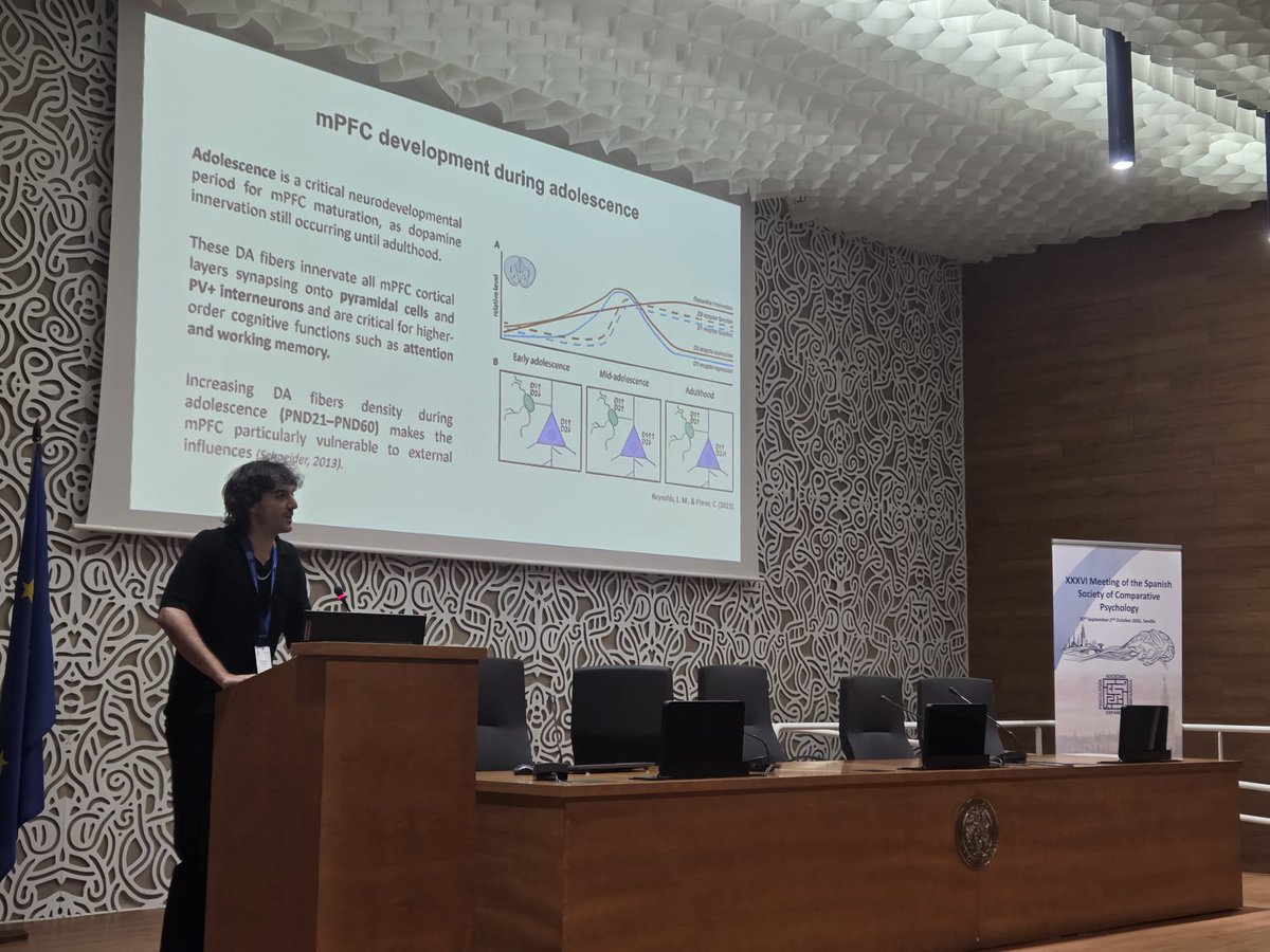 sepc2026's tweet photo. 🌙 We’re wrapping up the afternoon and Session 7 | Neurobiological Modulation of Behavior with Luis M. Traverso and Antonio Pérez-Colorado. 🧠🔬

Thank you to all our speakers for sharing your research with us! 👏
#SEPC2026 https://t.co/raNi2Irmsg
