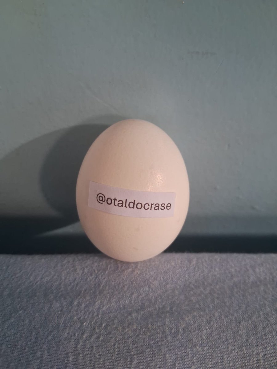 Usuovo's tweet photo. @otaldocrase thanks for the follow! https://t.co/2o5cMt0Xtr