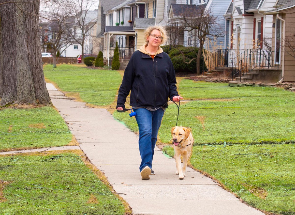 DianeLegacy1's tweet photo. Do dogs really need 3 walks a day? 🐶

75% of U.S. dog owners say yes but only 26% actually do it.

Be honest: How many walks does your dog get? 👀

#Dogs #DogLovers #PetNews https://t.co/A69o9daMwz