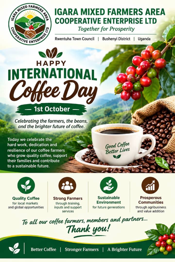 Robertsmutima's tweet photo. We wish you a happy October month...
We do all agronomic activities including providing the most trusted quality seedlings varieties of coffee
Please give us business https://t.co/8Df3Yazu2e