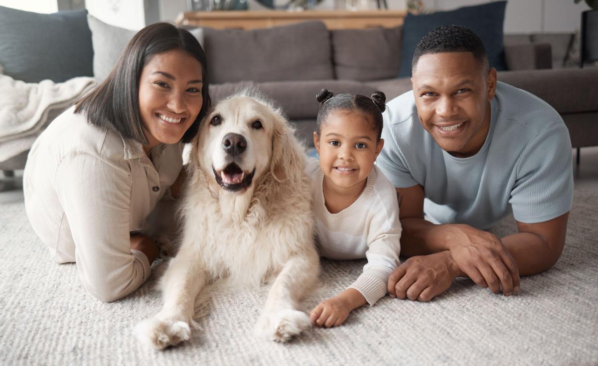 DianeLegacy1's tweet photo. Americans are treating pets more like family. 🐶🐱

95% say their pets are family, and 69% would cut their own spending before cutting pet expenses.

Family or too far? 👀

#Pets #Dogs #Cats https://t.co/DrlVY2S4XL
