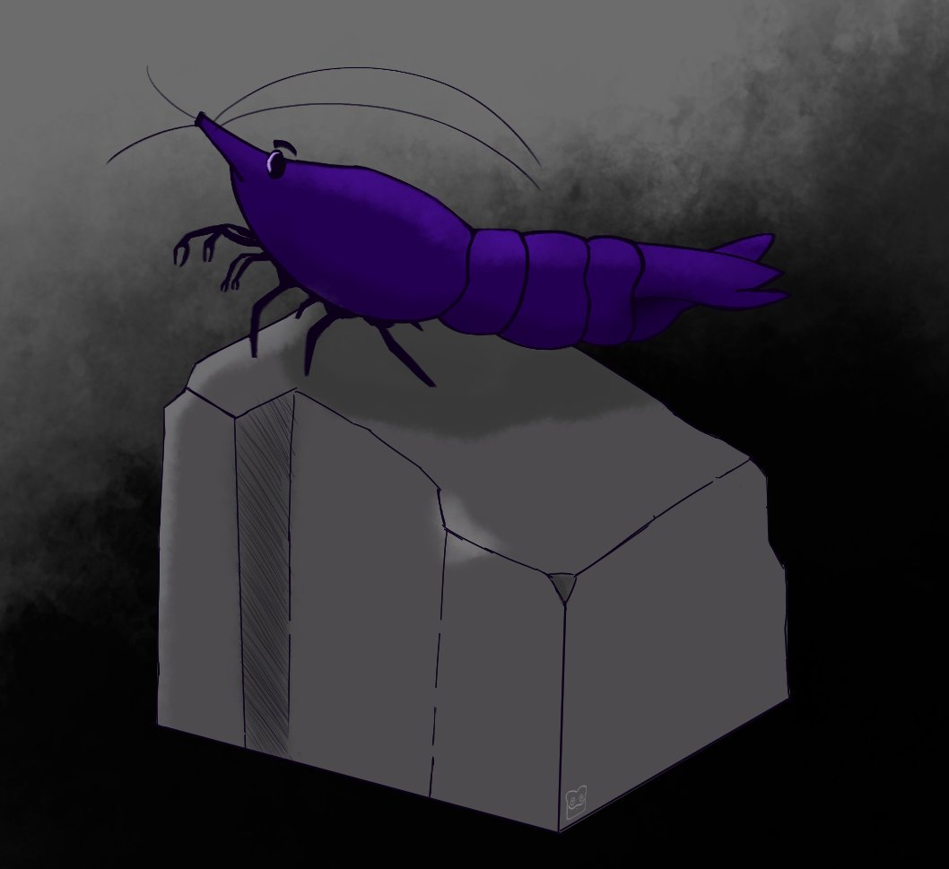 Totaltoastyy's tweet photo. Day 1 of shrimptober Stone courtesy of @xShrimpsTTV #shrimptober https://t.co/8e1nQp7KwE