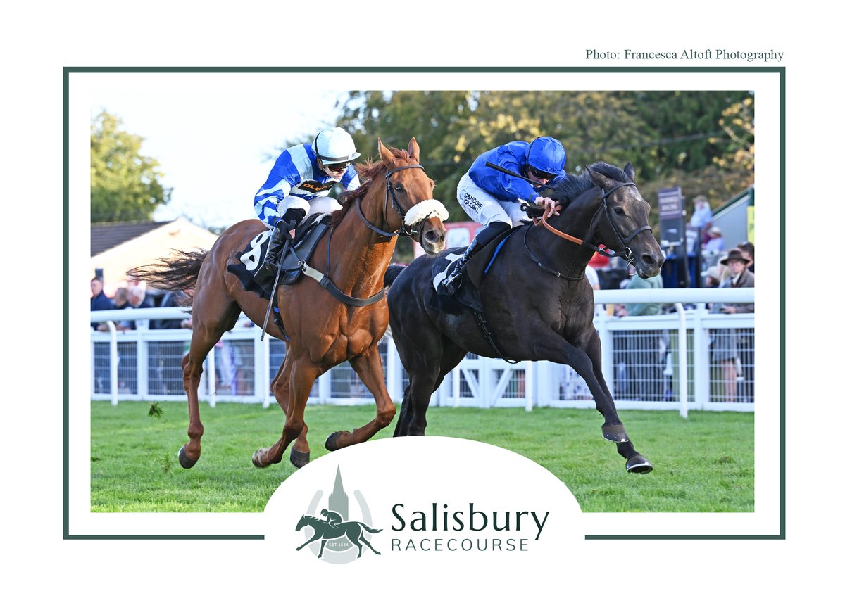 salisburyraces's tweet photo. Race 8 – The Madar Corporation ‘Season Finale’ Handicap

🥇 Treble Bass
🥈 One Horse Town
🥉 Roc De Fer

Congratulations to winning connections @godolphin, @varianstable and @Mitchelljack77 

📸 @francescajane_x https://t.co/duGvBNjQIq