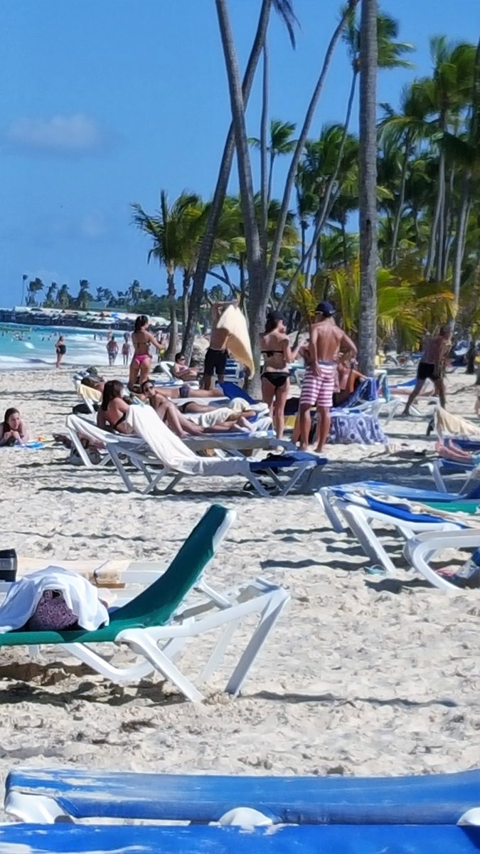 JeanLouisMfs's tweet photo. Souvenir des vacances au soleil ! ☀️🏖️ Punta cana République dominicaine Caraïbes 
#PuntaCana #Vacances #Soleil #Plage #Voyage #DominicanRepublic #PuntaCana2026 #Détente https://t.co/0HDBYz10V7