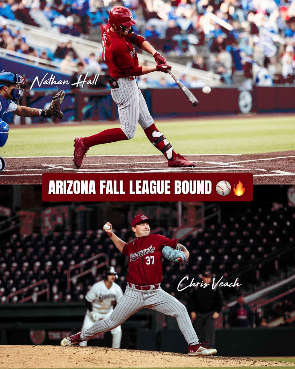 GamecockBSB's tweet photo. Good luck in the @MLBazFallLeague! https://t.co/BAjm5QE4tJ