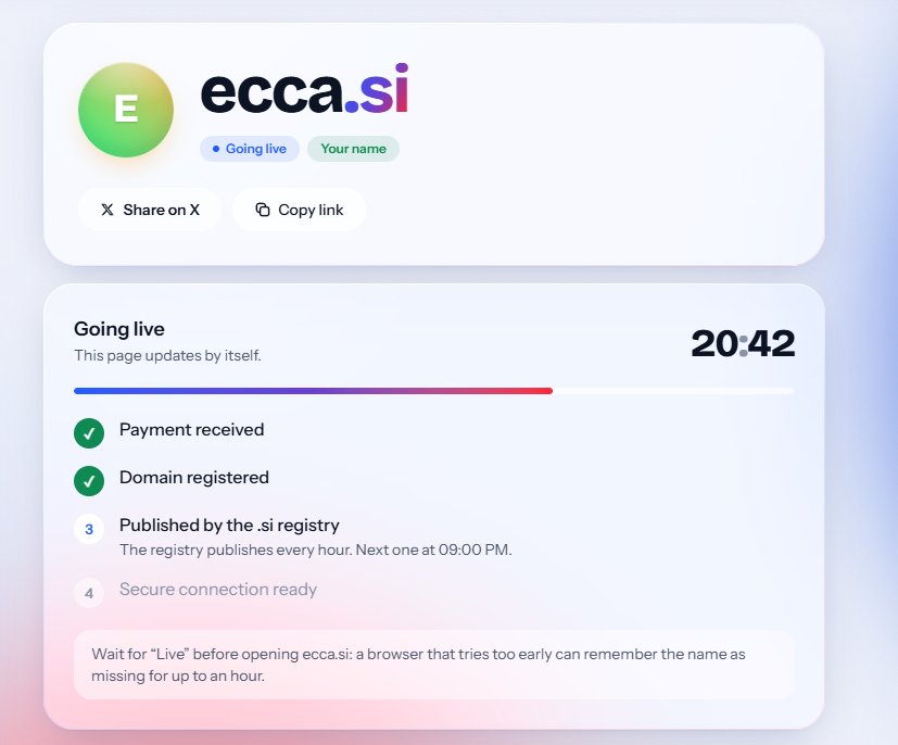 ecca's tweet photo. @SINSdomains just got mine https://t.co/pMnjfIeMef