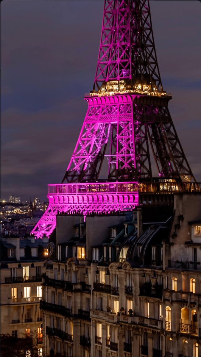 acheroamulen's tweet photo. The Eiffel Tower turned pink tonight for Pink October Breast Cancer Awareness Month https://t.co/aVwassSdOf