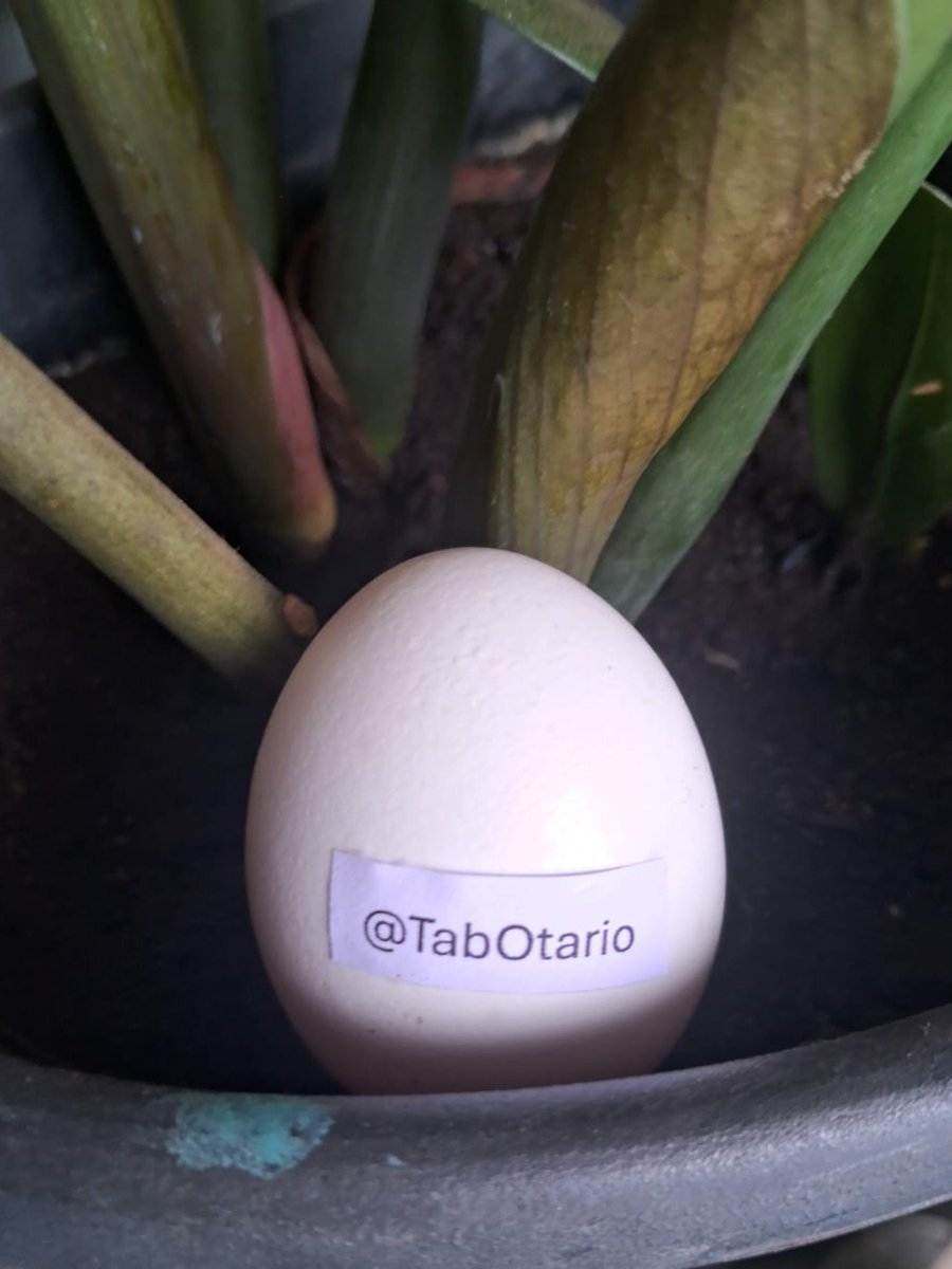 Usuovo's tweet photo. @TabOtario thanks for the follow! https://t.co/XileH8iwFv