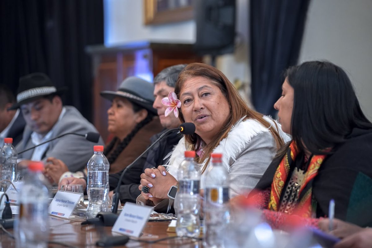 SubseBBNN's tweet photo. El subsecretario Peró participó de una sesión del Consejo Nacional de la Corporación Nacional de Desarrollo Indígena, donde conversó sobre las distintas iniciativas territoriales que lleva el ministerio para la protección e inclusión de pueblos indígenas en el país https://t.co/MwkUn88M5w