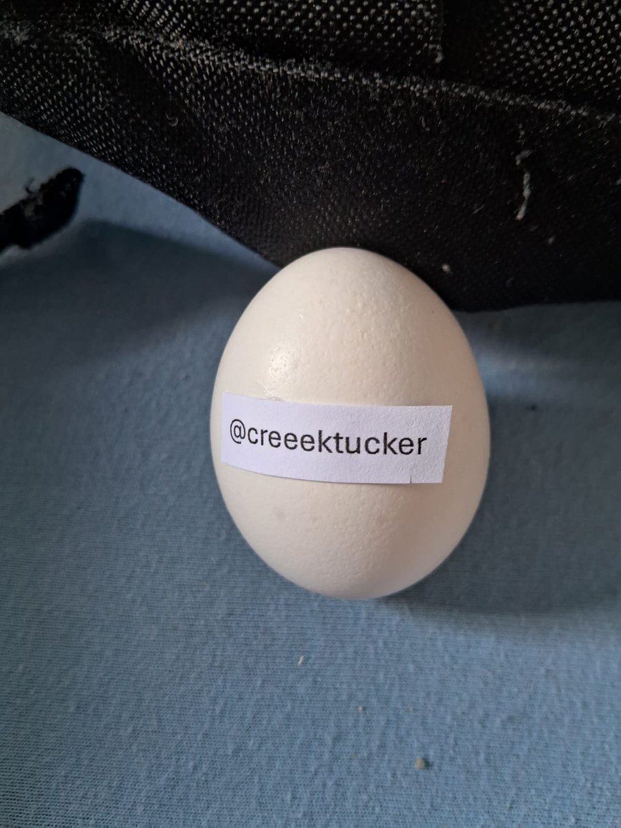 Usuovo's tweet photo. @creeektucker thanks for the follow! https://t.co/ToCt1AlKsf