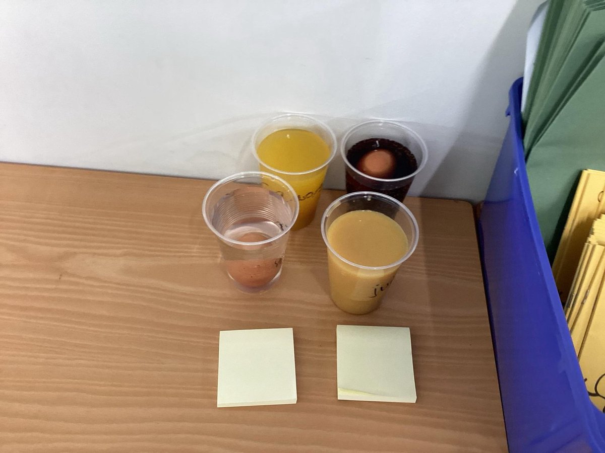 ForestersPS's tweet photo. Year 4 kicked off an exciting experiment in Science today! 🧪🦷
We've been investigating the effects of sugary drinks on tooth decay—using eggshells to represent our teeth! We can't wait to monitor the results over the next week!🤔💡
#PrimaryScience #Year4 #STEMinSchools #HandsOnLearning #ToothDecayExperiment