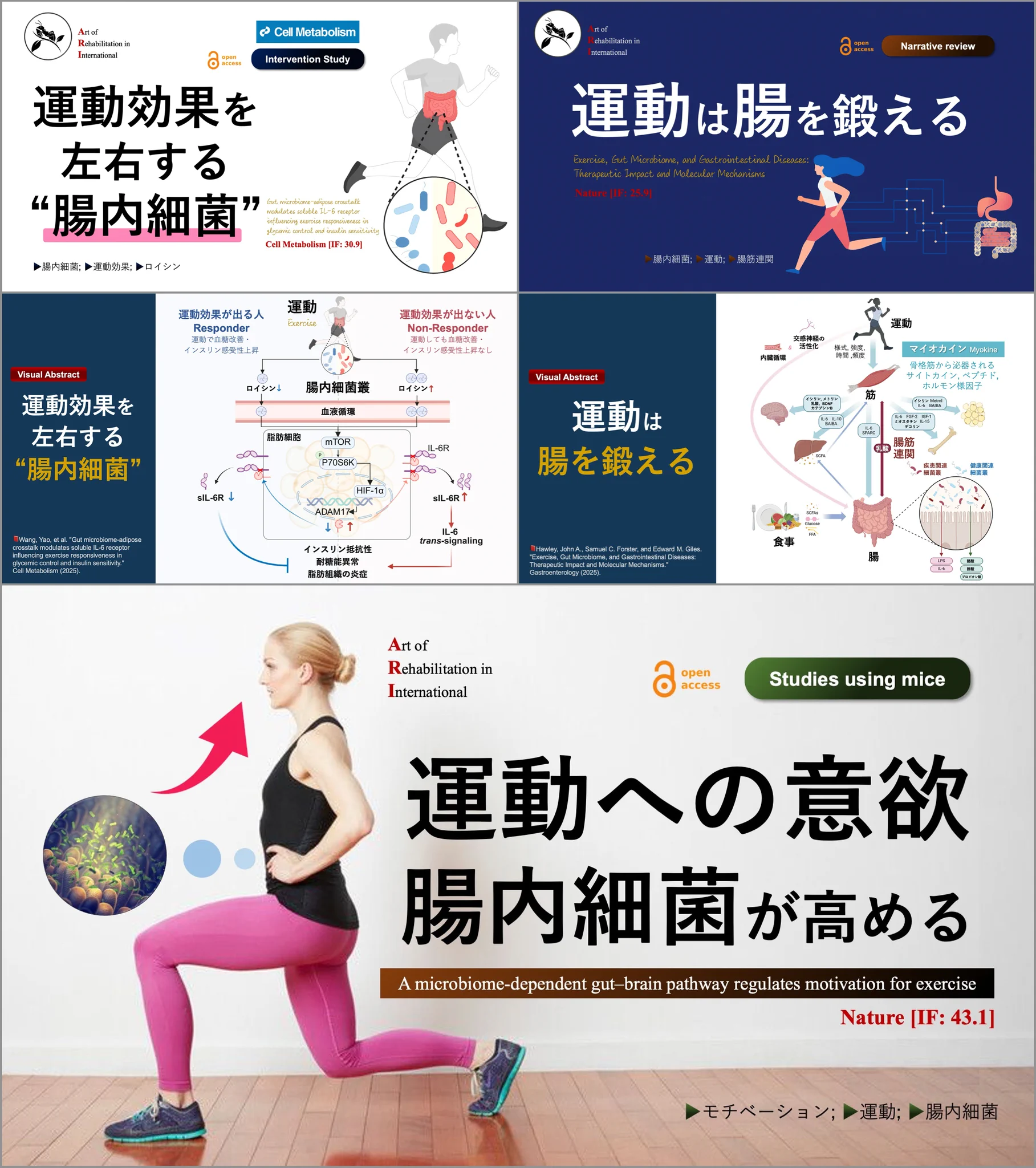 乳酸菌の保健機能と応用 = Physiological Function of… 理学療法士_海津陽一 Ph.D. on X: 