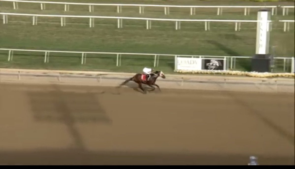TippingStationX's tweet photo. Backed at 6/5 

Goes off at 1/3 

And @bet365 have settled this as a loss despite the horse winning by many lengths 🤣🤣🤣

Horseshoe indiana Race 7 

Soccoro's Prayer https://t.co/DVobeAJguD
