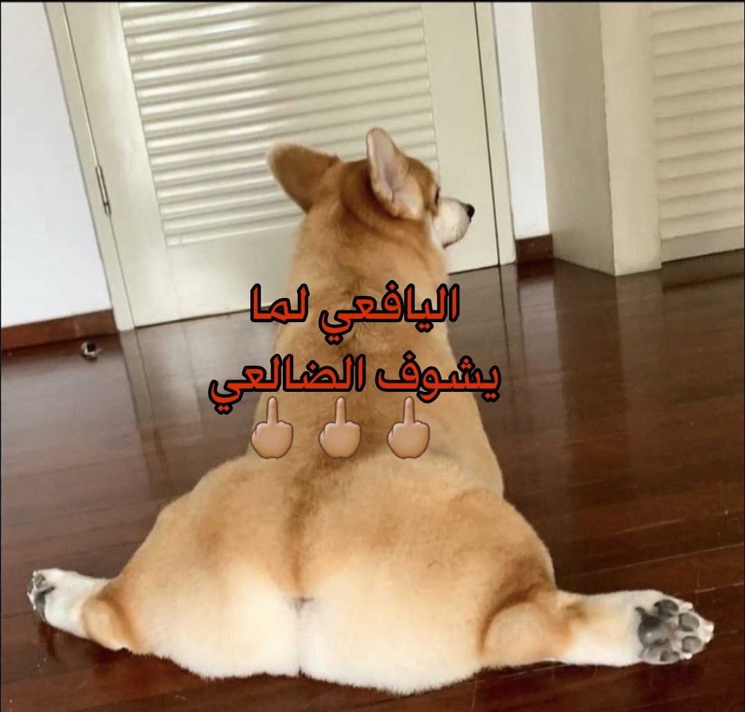 Dalyyrgal's tweet photo. @Agsrw @alyaf_almr99684 @399fjsss https://t.co/b8uzToAKLX