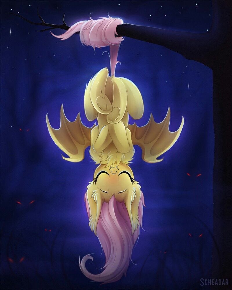 FlutterBatesk's tweet photo. https://t.co/zRogXv1FDr