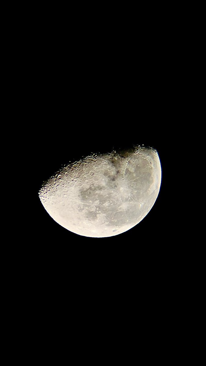solarislunaa's tweet photo. What I capture today https://t.co/r9g6hem6h2