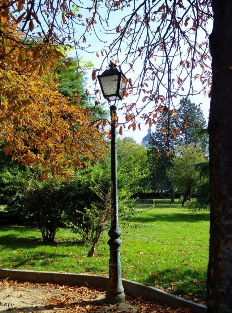 KatySnchez's tweet photo. Farola clásica en el parque de Atenas #farola #otoño #parquedeatenas #hacerfotos https://t.co/8OLrOsZX5A