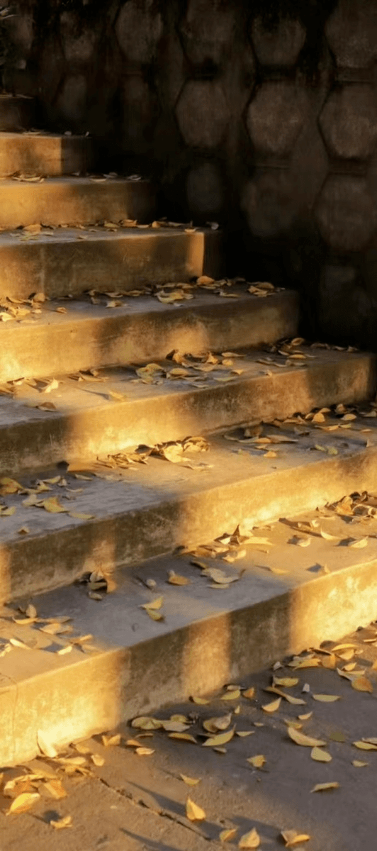 kharismaya_suci's tweet photo. [指赴阅阶炭] these tiny charcoal fragments, from the steps we take, hold quiet warmth to share. https://t.co/xeZudGroYN