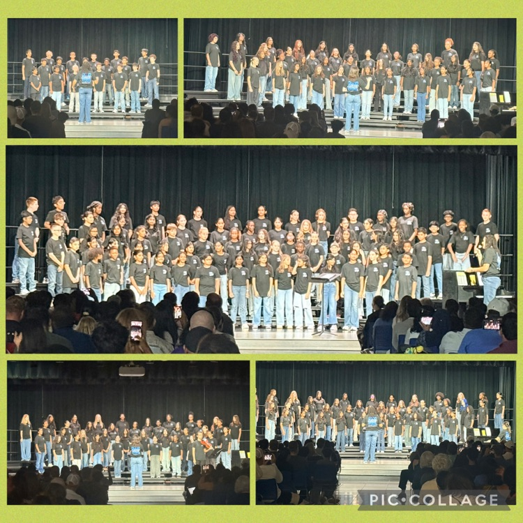 ProsperHaysMS's tweet photo. ICYMI: Hawk talent was on full display at  our fall choir concert and art glow show!  ✨ Ca-Caw! https://t.co/lyUXv7cTlI