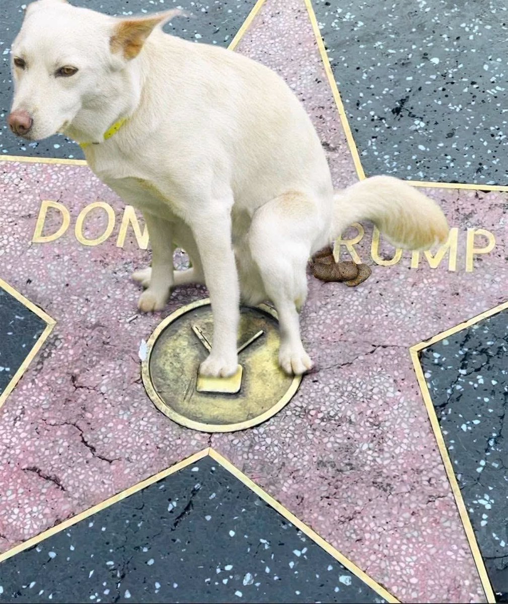 gma20182024's tweet photo. https://t.co/K8iqnn0Bza