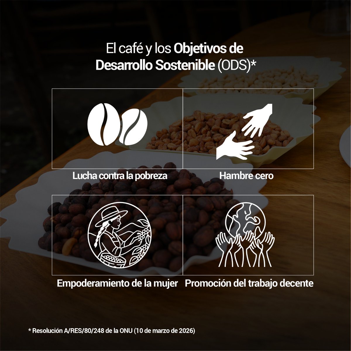 UNODCBolivia's tweet photo. En Los Yungas, la UNODC con el apoyo de @BoliviaKoica y la @UEenBolivia, impulsa sistemas agroforestales con el café como alternativa sostenible a la expansión de cultivos excedentarios de coca, fortaleciendo economías locales y familias.

#DíaInternacionalDelCafé https://t.co/5c18C2Z7SI
