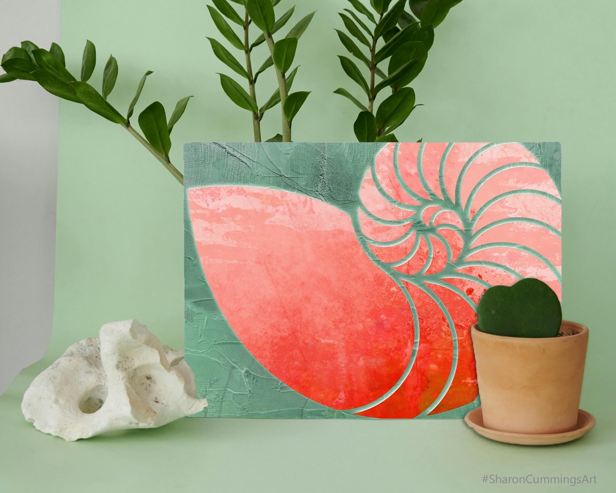 Terracegallery's tweet photo. Coral Red Nautilus: https://t.co/GEcxgD76wz #nautilus #coral #beach #coastal #sea #ocean #art #artwork #seashells #homedecor #interiordecor #SharonCummingsArt #buyintoart https://t.co/dkDNceli3l
