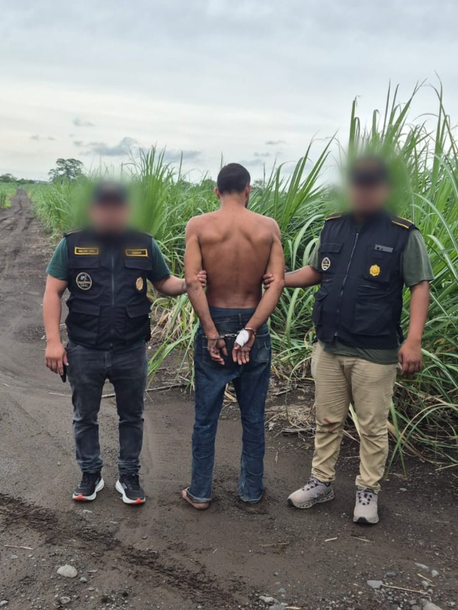 MPguatemala's tweet photo. El Ministerio Público con acompañamiento de la Policía Nacional Civil, coordinó la aprehensión de José F., quien contaba con orden de aprehensión vigente por el delito de femicidio. La aprehensión se realizó en la aldea El Terrero, municipio de La Gomera, Escuintla.

De acuerdo con la investigación, el 21 de septiembre del presente año, en el interior de una finca ubicada en La Gomera, una mujer murió como consecuencia de heridas provocadas con arma blanca. José F. presuntamente participó en el hecho.

En otro caso, la fiscalía realizó cinco diligencias de allanamiento, inspección, registro y secuestro de evidencia en inmuebles ubicados en el municipio de Esquipulas, Chiquimula, en seguimiento a una investigación relacionada con un hecho en el que una mujer resultó herida por proyectiles de arma de fuego.

Como resultado se incautaron un rifle, un revólver, una pistola con un cargador y 12 cartuchos, evidencia que será sometida a los análisis periciales correspondientes para fortalecer la investigación en curso.