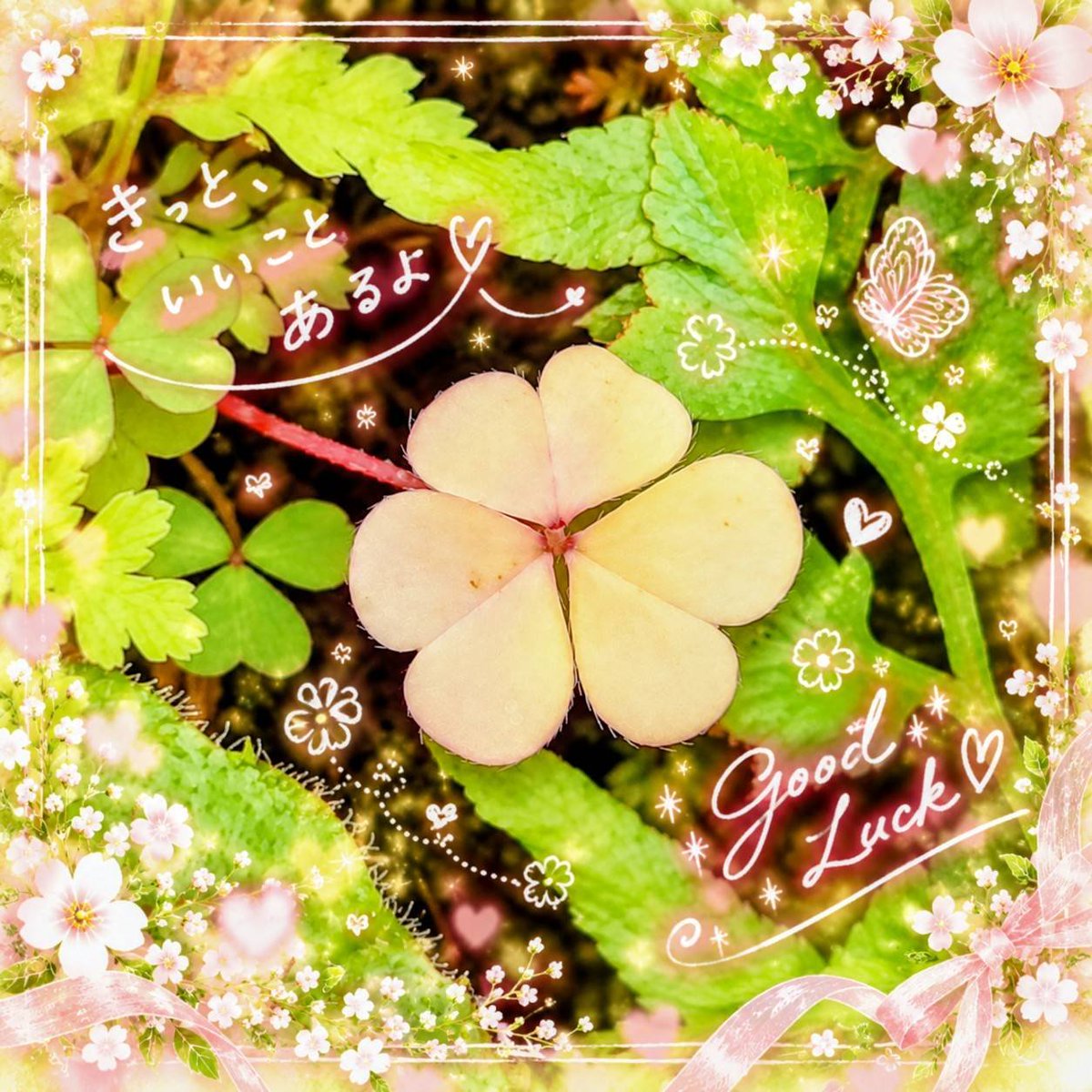 kokoro2026egao's tweet photo. おはようございます😊

昨日と今日は久々に太陽☀️が出て､暗くなっていた部屋と私の心に光を射し込んでくれました❤

青空に会いに行こう(*•̀ㅂ•́)و✧
笑顔に会いに行こう(*•̀ㅂ•́)و✧
ホットステ─ションでエネルギーを満タンにして🤗
穏やかな🍀*゜良い1日にしましょう✨️✨✨✨✨✨✨✨ https://t.co/AlTuM7h311