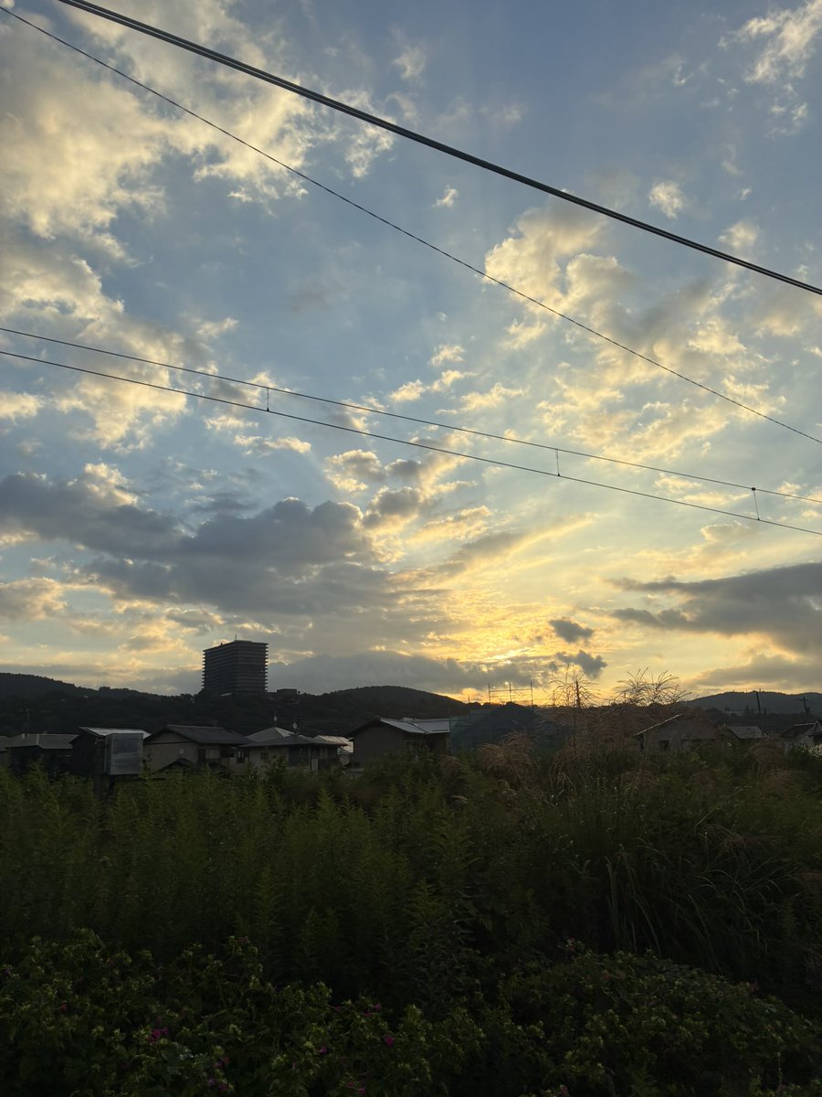 drnyanko1976's tweet photo. 今日も雨は大丈夫そ！さぁ、今週もうちょいがんばっていこ(◍︎´꒳`◍︎) https://t.co/kuShFcWlmV
