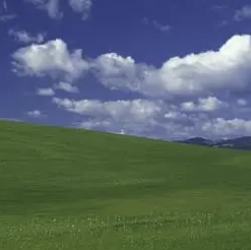TemuDuval's tweet photo. clippy got farmed, 

atleast we can send the Bliss 

the background https://t.co/DGqphsBPiR