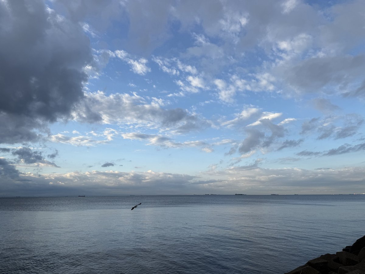 skyblue9112m's tweet photo. 歩きたいから歩いた。
休みの日だったけど。

朝は30分違うだけでこれだけ空の色が変わる
綺麗

 #朝ウォーキング
 #朝焼け
 #海と空 https://t.co/A3DqXkdBPv
