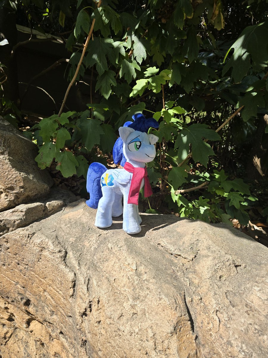 DoodlesDoodles8's tweet photo. Finished a Soarin today!
#mlp #mylittlepony #soarin #custom #plushy #plush #handmade
Pattern by plushnbulbs
Embrodiery by lionclubcreationsllc https://t.co/964YgdQxmu