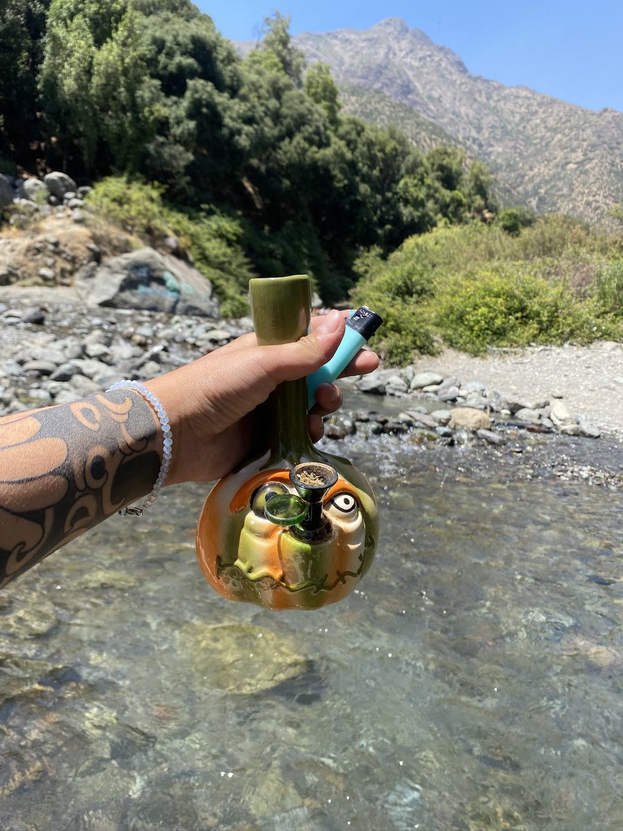 SatiLovv's tweet photo. Trekking Mood Halloween 🎃🎃🎃🎃🎃🔥😂
#weed #thc #hallowen #stgo #trekking https://t.co/oGTUqC0qlb