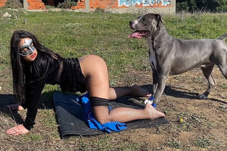 Alicesluteae's tweet photo. Stop scrolling.
The real content isn’t on the timeline.
Link in bio
#dogs #K9 #USA https://t.co/ML2nooG4i3