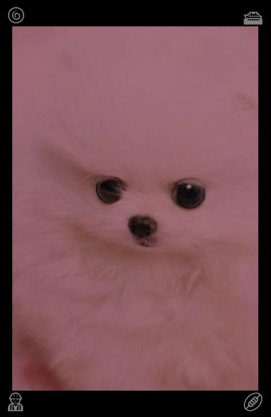rdotlich tweet picture