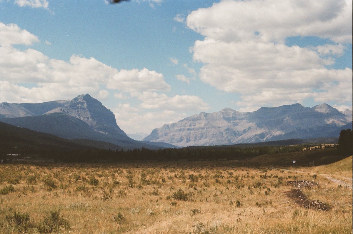 Tomcat_actual's tweet photo. Ya Ha Tinda / Nakoda for "Mountain Prairie" 

Kodak Gold 200 shot with Canon F-1 https://t.co/sFNSrQLeoZ