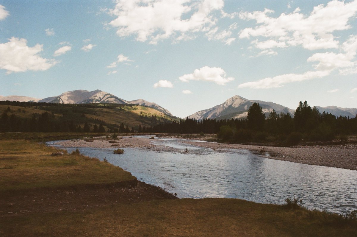 Tomcat_actual's tweet photo. Ya Ha Tinda / Nakoda for "Mountain Prairie" 

Kodak Gold 200 shot with Canon F-1 https://t.co/sFNSrQLeoZ