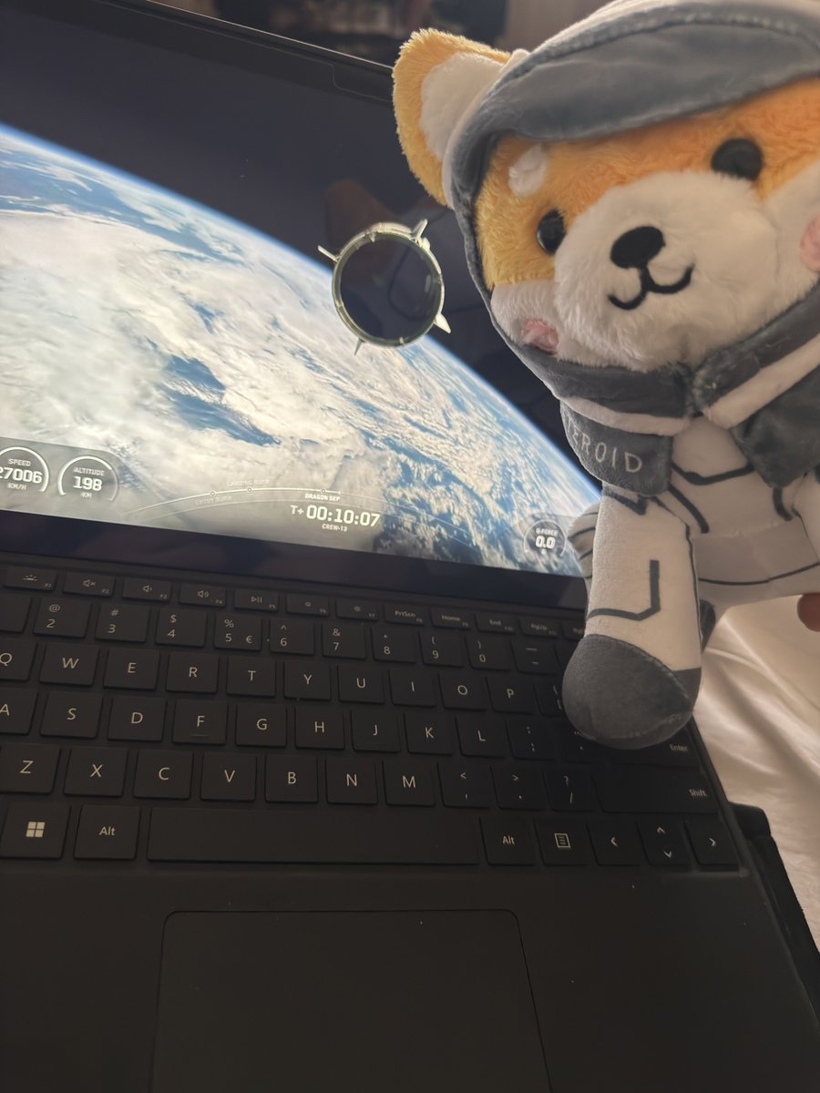 jiunCrypto's tweet photo. Since you (@NASA ) and @SpaceX both know Asteroid. My Asteroid plushie says; Happyyyy Birthday! 🚀 https://t.co/GkKkukIzwg