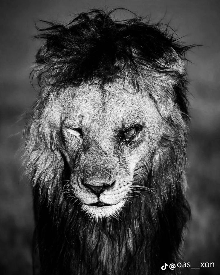 harth73661's tweet photo. العلامة ابن باز رحمة الله ❤️ https://t.co/PhYejh9fvK