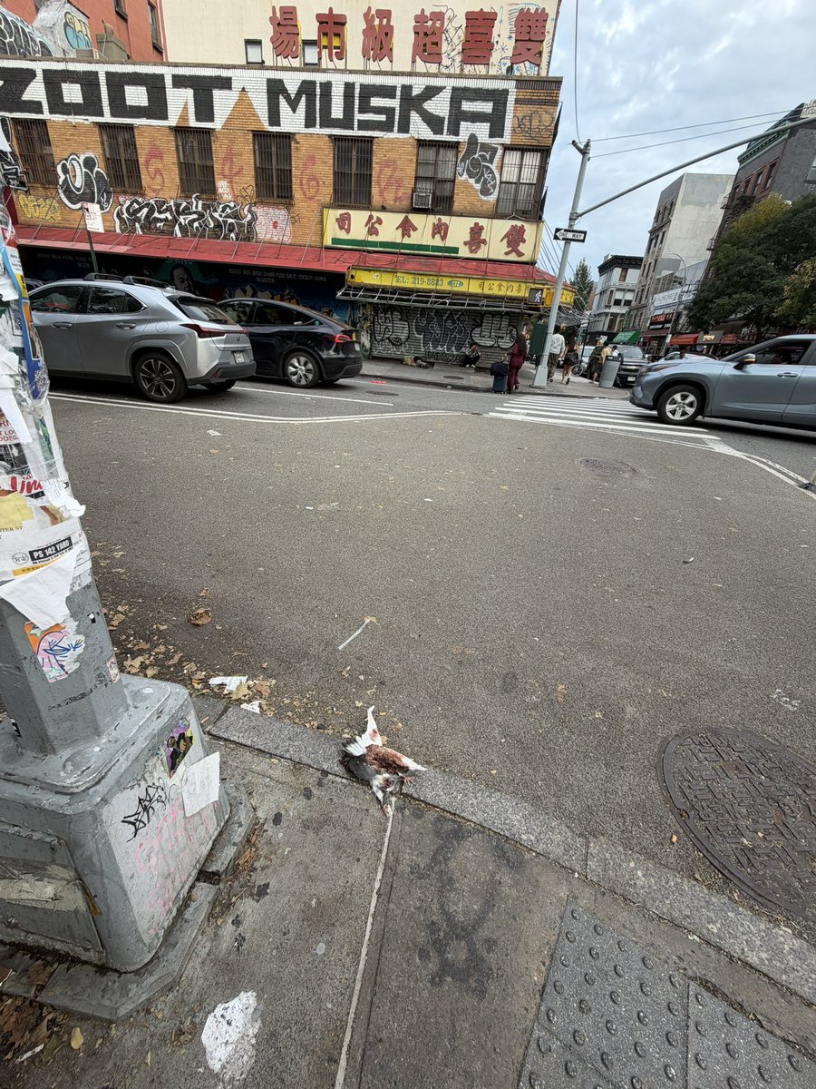 DrewPavlou's tweet photo. I was just walking through Chinatown and I almost stepped on a dead pigeon with its guts out right next to a bunch of homeless people sleeping in the street. I then turned around an old guy spat at the ground right next to me.

It’s very interesting cause like 2 streets away you have a bunch of cool trendy art gf stores where a bunch of stylish, cool, sophisticated and hot young people of all different races just chill together in peace. So you have actually existing successful 2000s globalisation aesthetic multiculturalism but then 2 streets away you have YooKayification - pigeon with its guts out and crazy mentally ill hobos sleeping on the street.

How does this work? I am really interested in this cause America seems to have pockets of absolutely amazing successful modernity just coexisting next to massive social decay and collapse.
