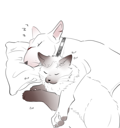 skelespic3's tweet photo. Nap time for Pupnisher and Spiderkitty after a long night~ (I have another post lined up soon, this is just a bonus doodle hehe)
#peterfrank https://t.co/7A5mheWjTc