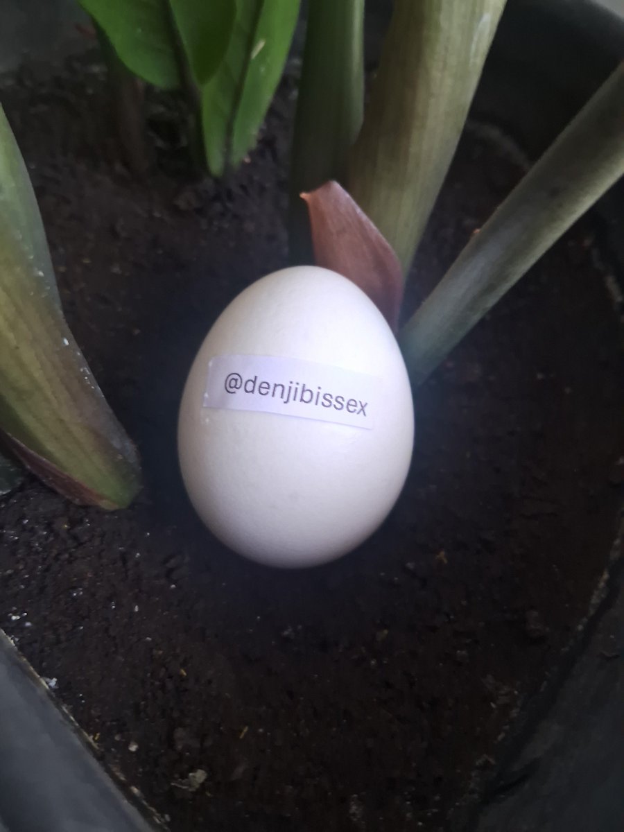 Usuovo's tweet photo. @denjibissex thanks for the follow! https://t.co/4jYxGbvh7T