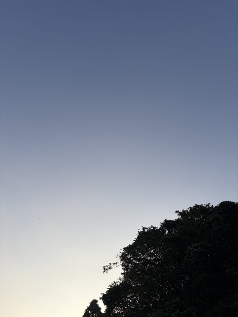RX7FD3Shim's tweet photo. おはようさんです☀️

10月2日 豆腐の日
今朝は21.1℃

秋が近づいてきます🍂
紅葉ドライブに行こっかなぁ〜

今日も良き日に👍
本日もよろしくでーす💖✨
#フォロバ100 #ブロガー https://t.co/oifkkKS3PH