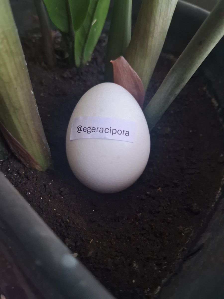Usuovo's tweet photo. @egeracipora thanks for the follow! https://t.co/gXldzK8nc1
