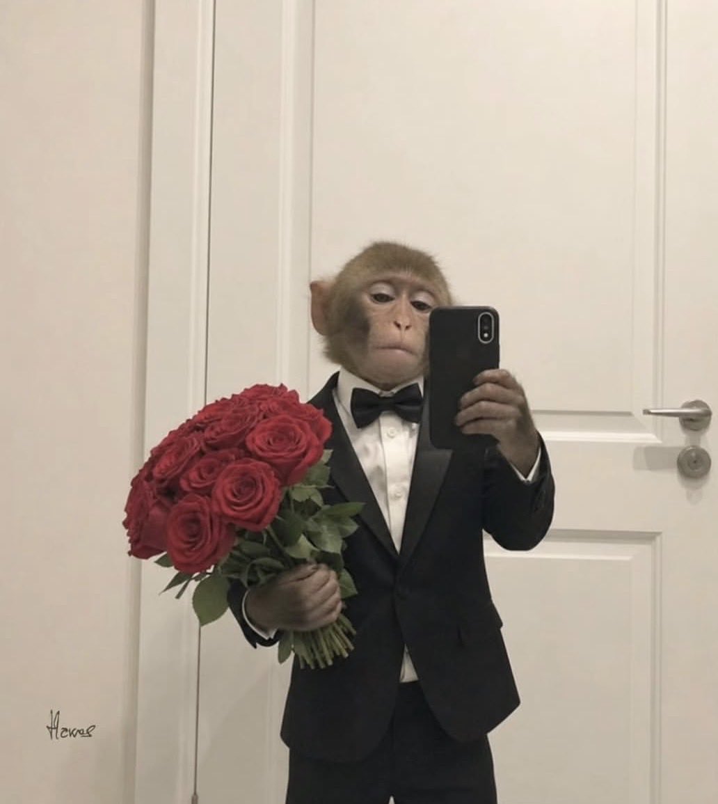 dontizzgram's tweet photo. W’s in the Mthfkn chat https://t.co/OSGgi2mOgT