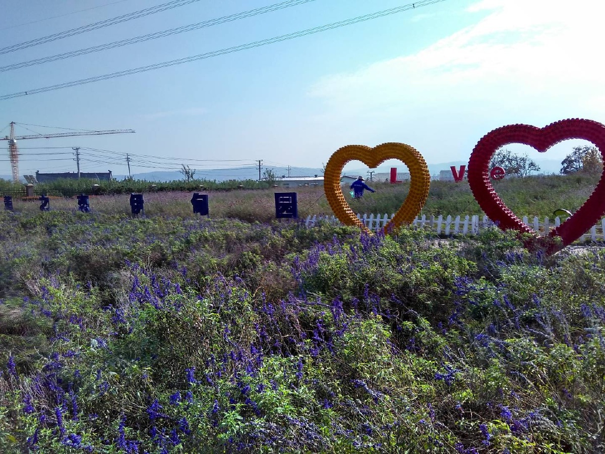 ChaeLinbsps's tweet photo. Hey, the Shaanxi-plate heart-themed steps look so warm! Check out this lovely scene~ https://t.co/5k6Rq06pXJ