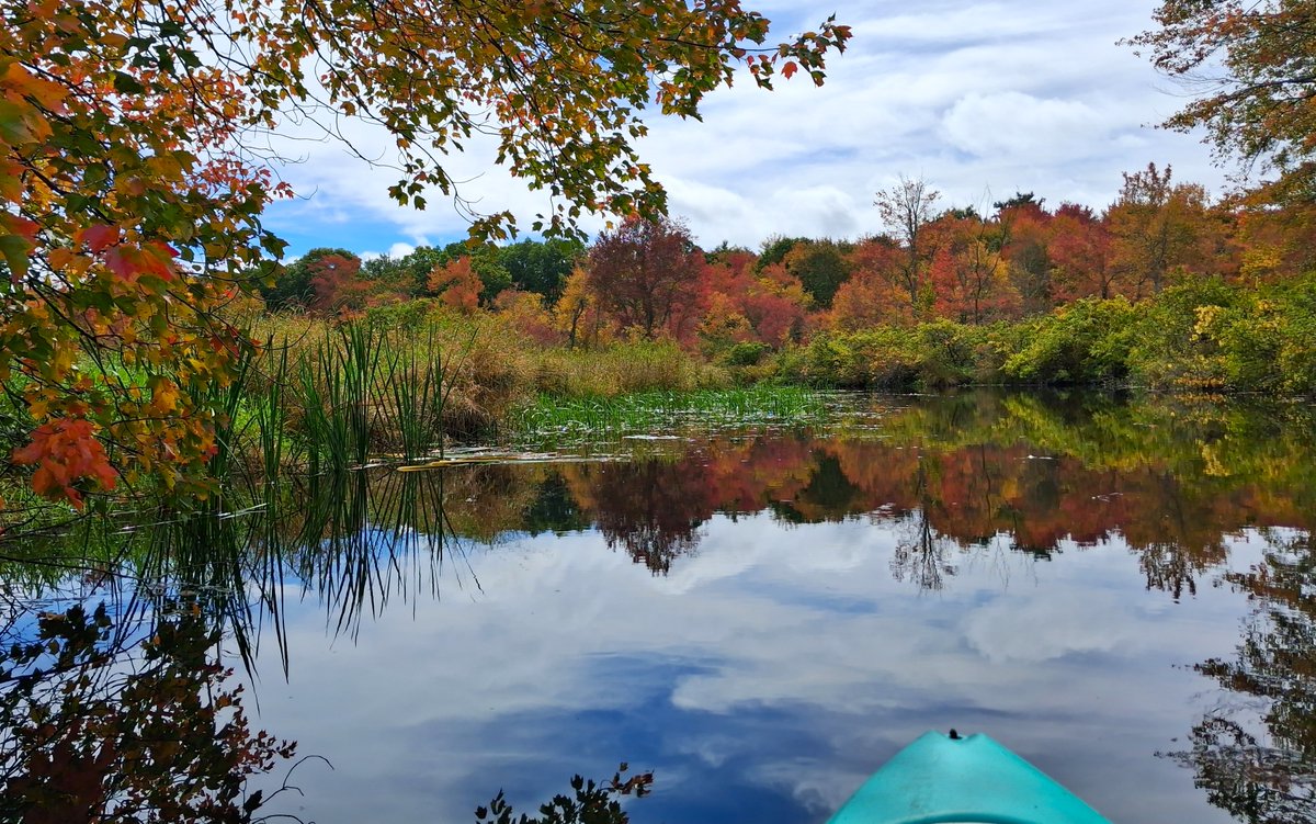 U3_Star's tweet photo. The colors are just starting to pop in #Litchfield https://t.co/XSk5unG1Qr