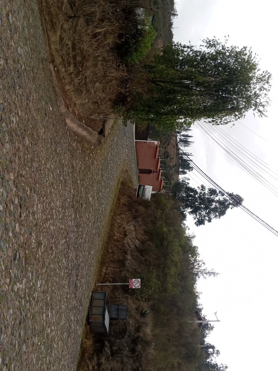 fernandino133's tweet photo. Un buen sitio para una travesura en auto https://t.co/WaLjhzeptP